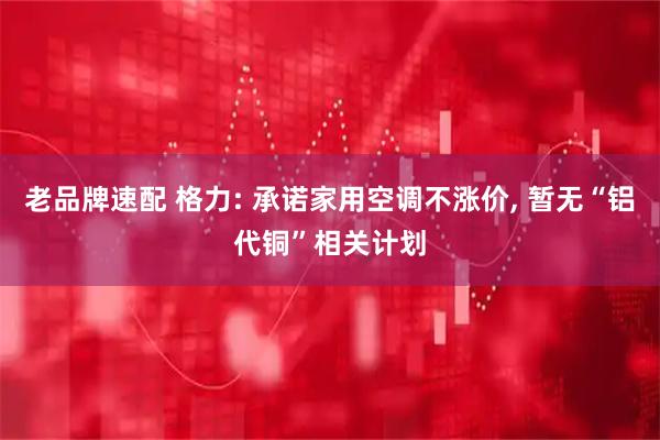 老品牌速配 格力: 承诺家用空调不涨价, 暂无“铝代铜”相关计划