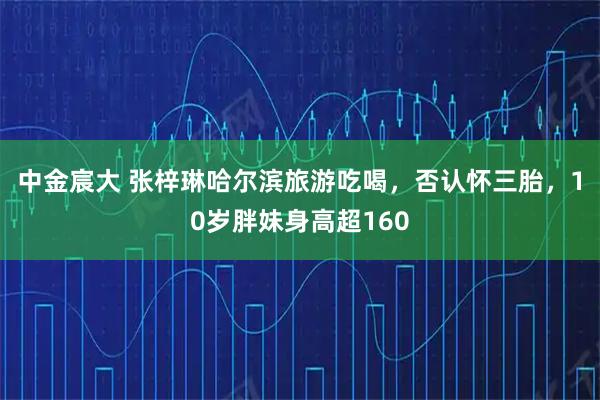 中金宸大 张梓琳哈尔滨旅游吃喝，否认怀三胎，10岁胖妹身高超160