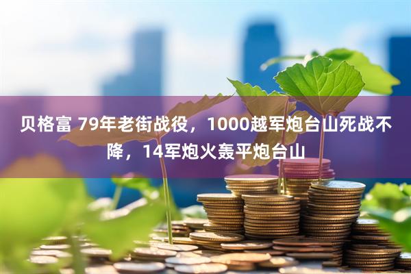 贝格富 79年老街战役，1000越军炮台山死战不降，14军炮火轰平炮台山